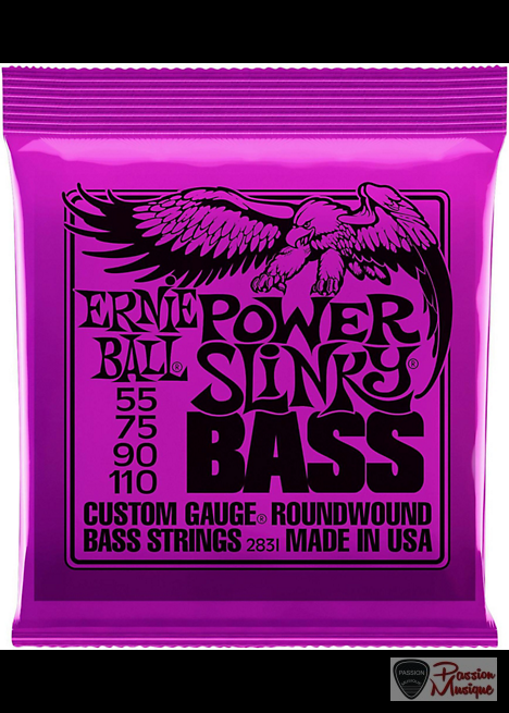 PASSION MUSIQUE - Ernie Ball 2831 Slinky Round Wound 55-110