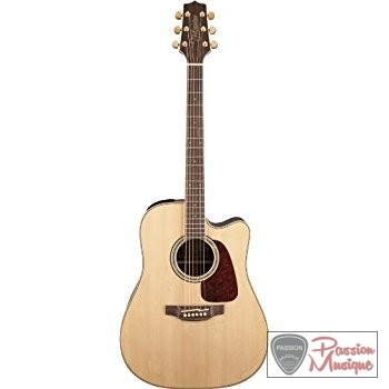 PASSION MUSIQUE - Takamine G Series GD71CE-NAT