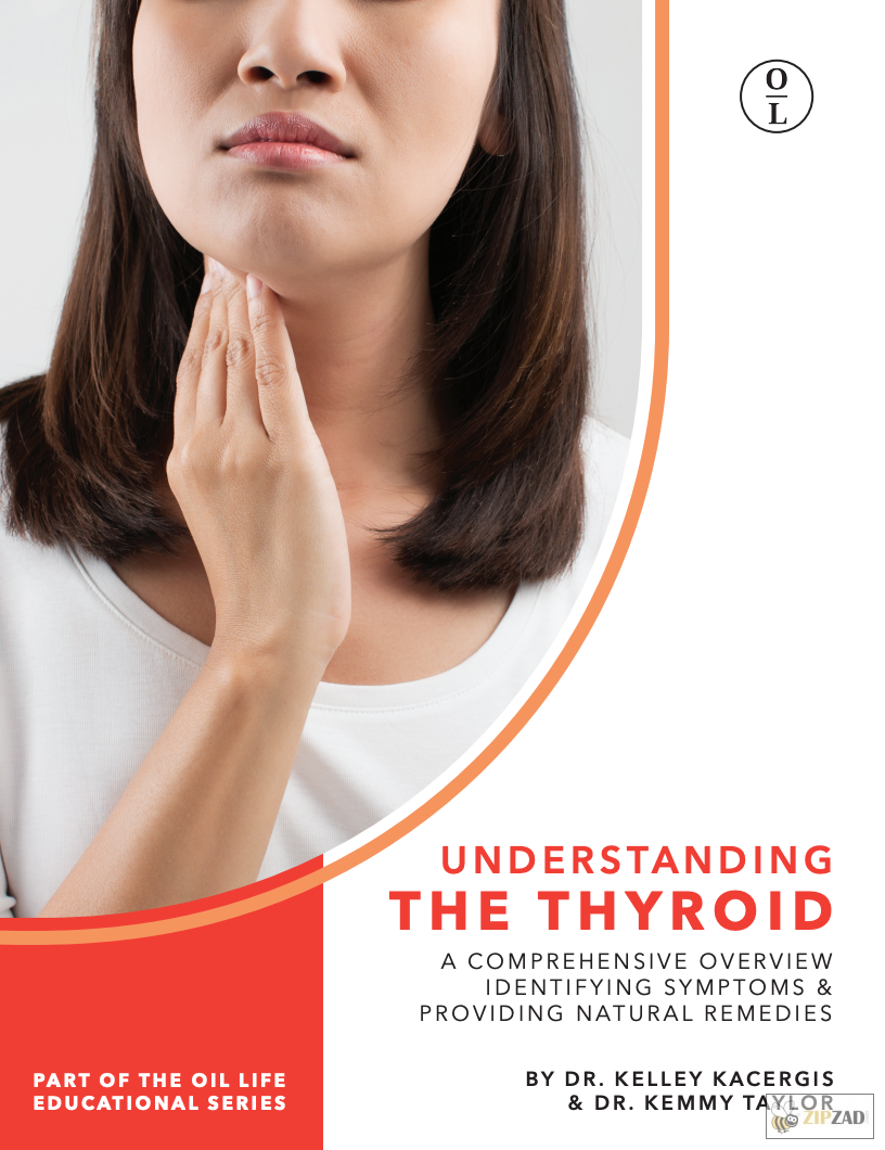ZIPZAD - Comprend la thyroïde (ANGLAIS)