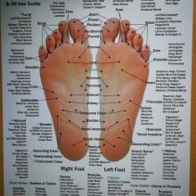 Tableau de réflexologie des pieds et des mains (anglais)